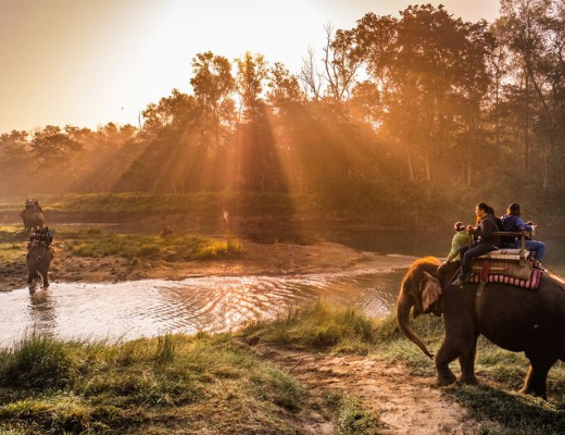 Destination Wedding in Chitwan